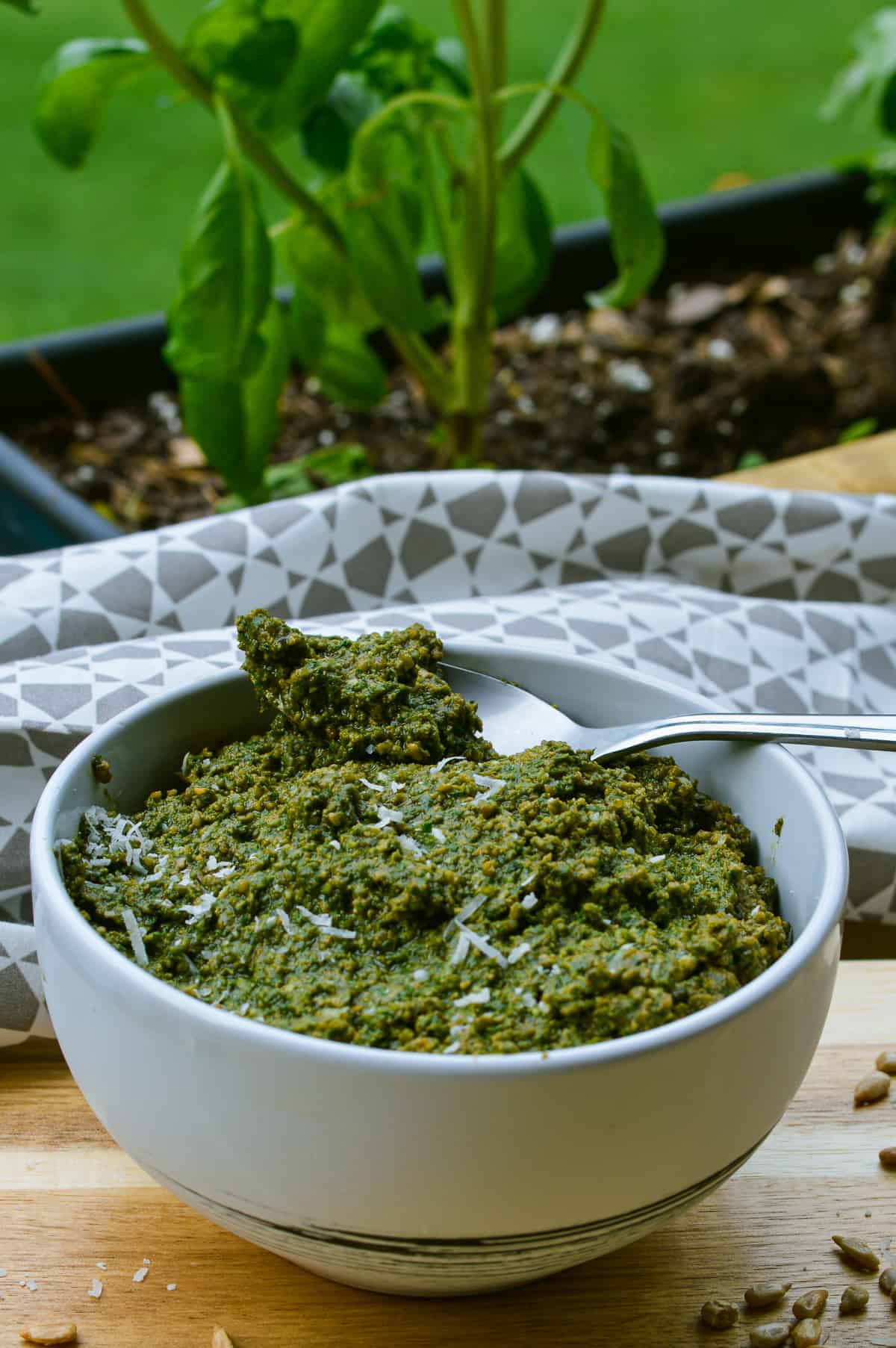 poor mans pesto in white bowl, some on a silver spoon with white grey napkin n background with a basil plant behind it.