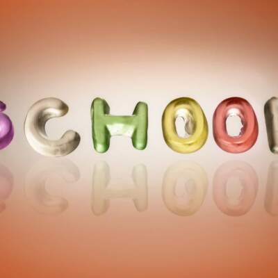 The School of Junk