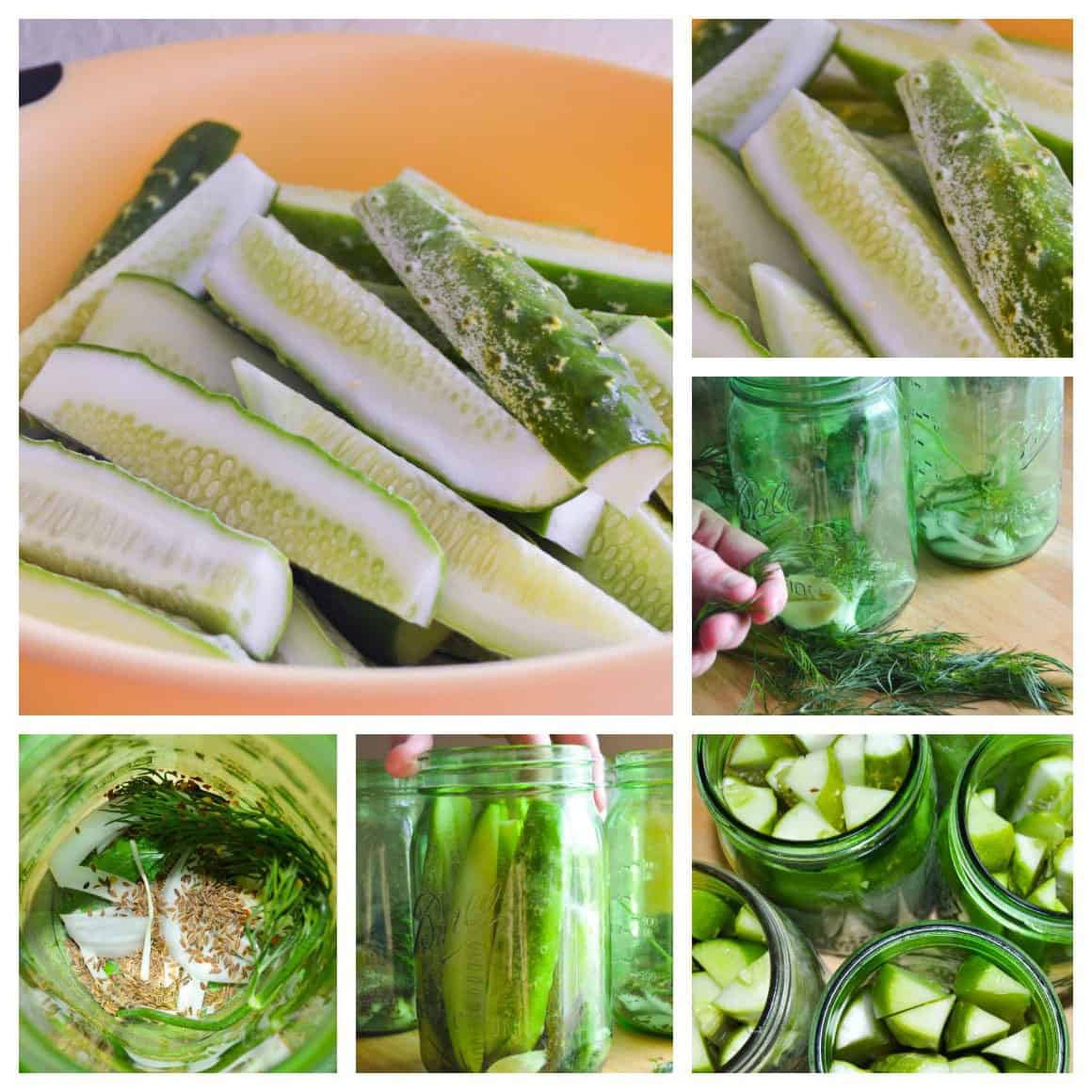 Step by Step Homemade Deli Style Dill Pickles Collage