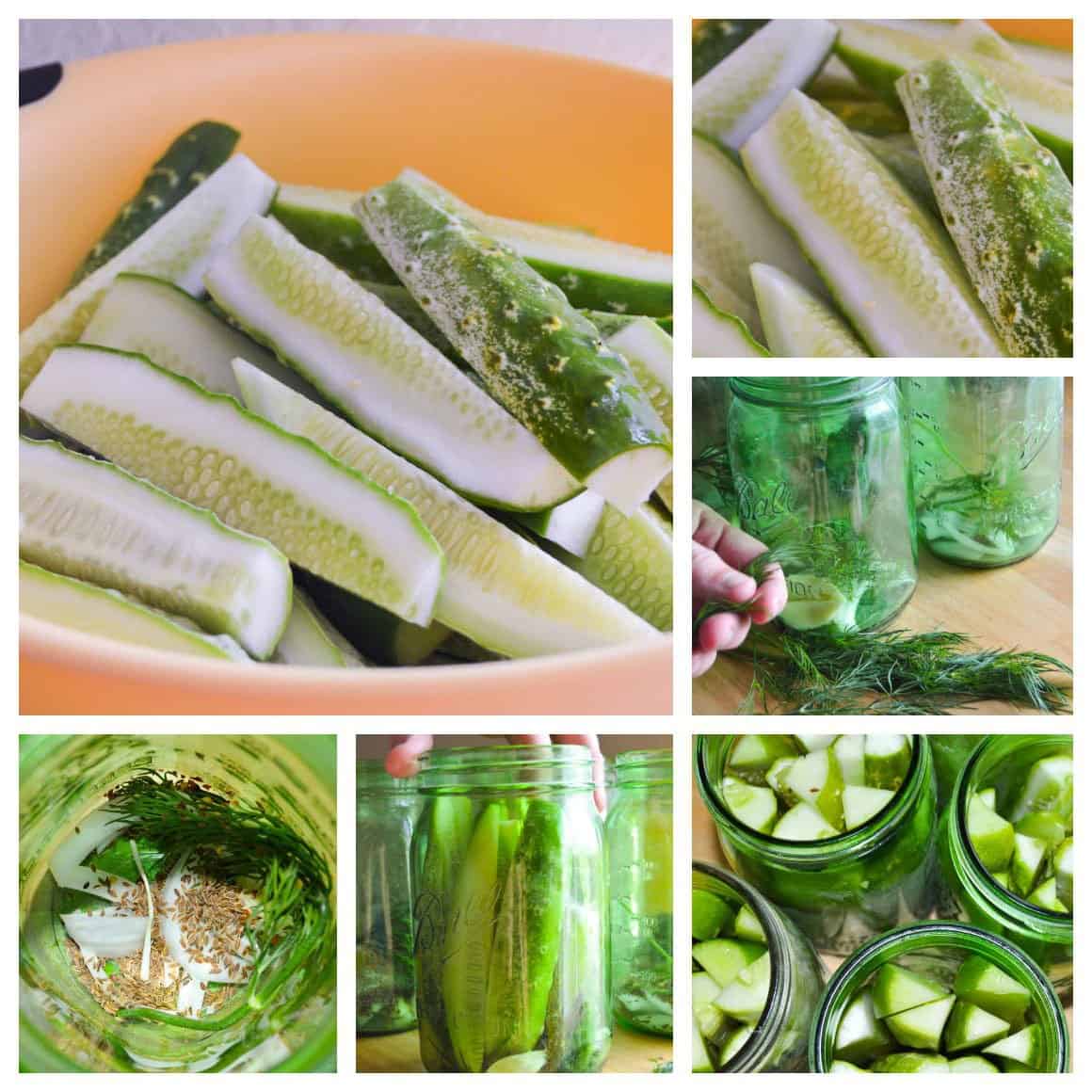 Deli Style Dill Pickles | Whole Made Living