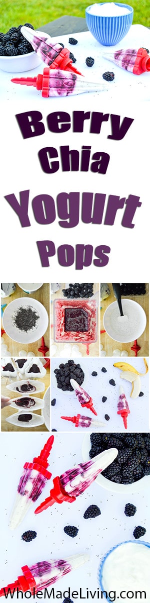 Berry Chia Yogurt Pops Pinterest Collage
