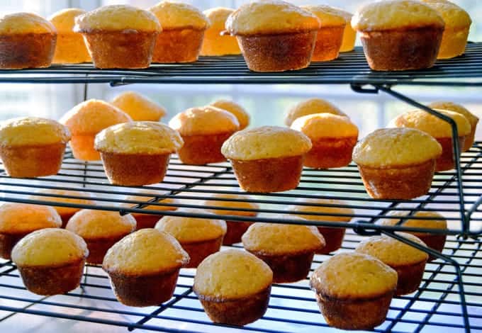 Mini Honey Cornbread Muffins on cooling racks