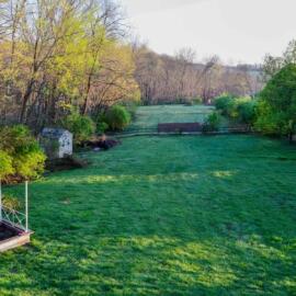 Image of our backyard in the new house
