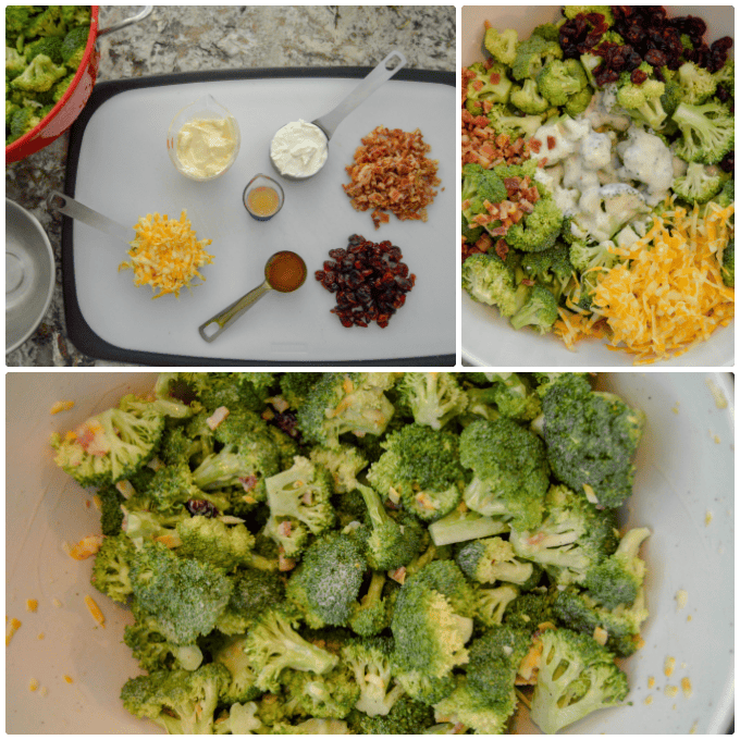 Salad Ingredients; bacon, cranberry, cheese, honey, mayo