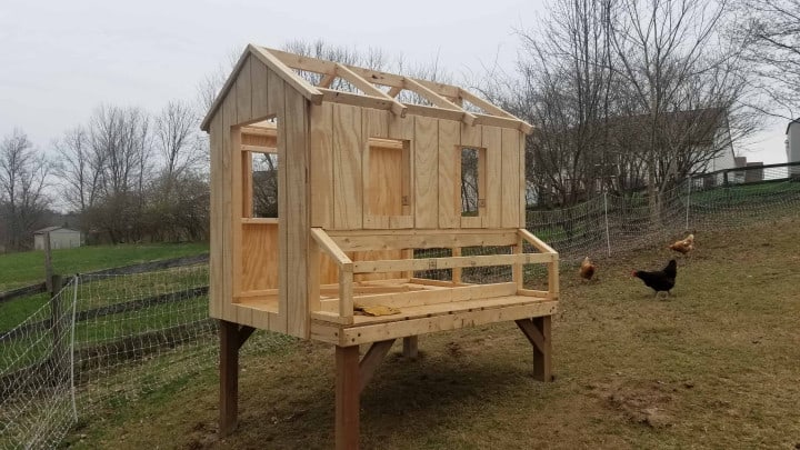 Backyard Chicken Coop (Our Easy Strong DIY Build) - Whole Made Living