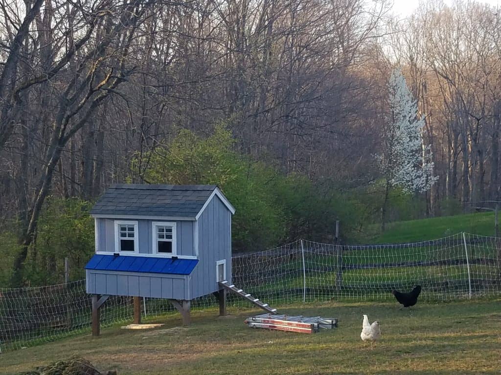 Our finished DIY chicken coop