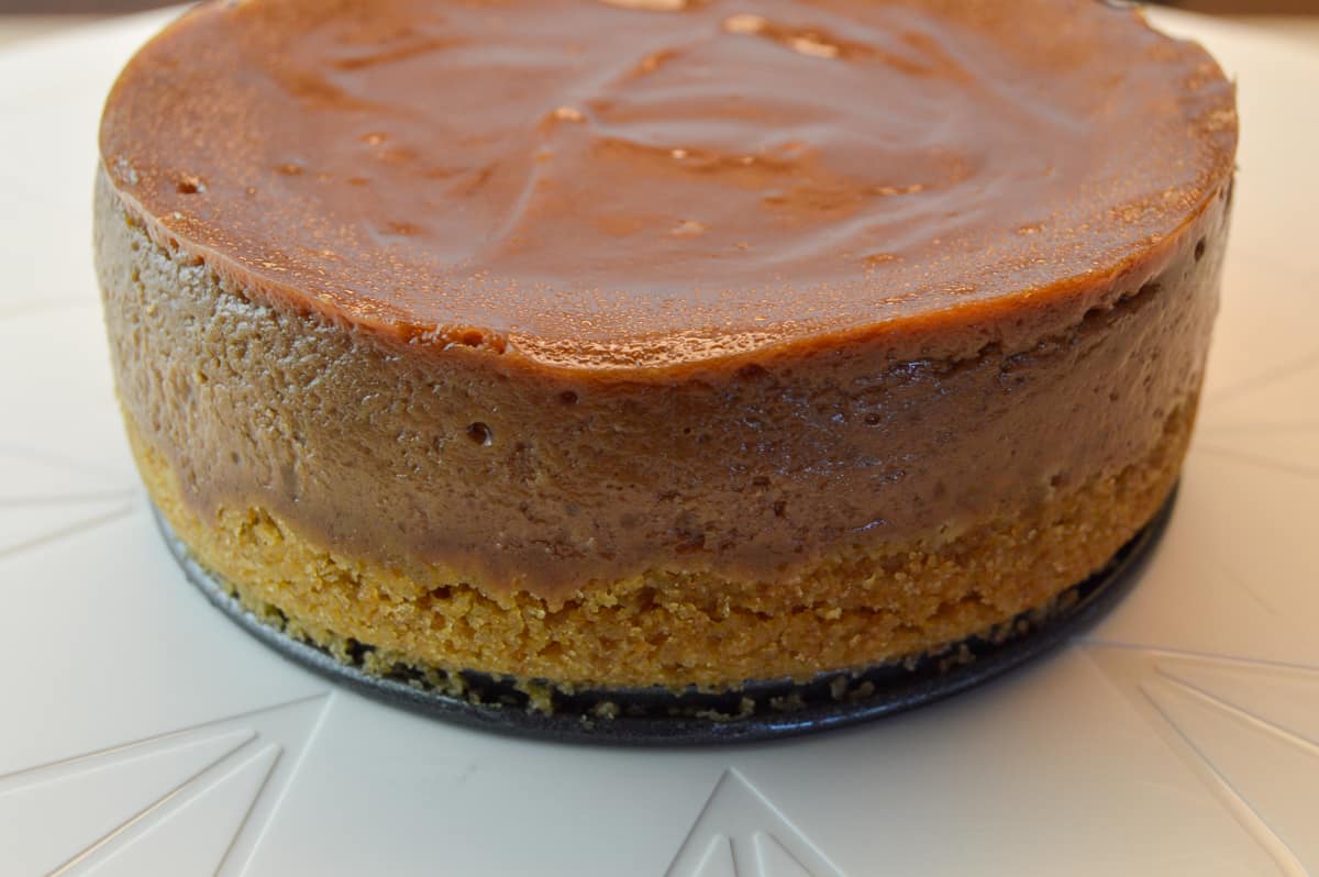 Full miniature sized Nutella cheesecake on springform bottom after baking and springform sides removed, showing ¾ view from the side