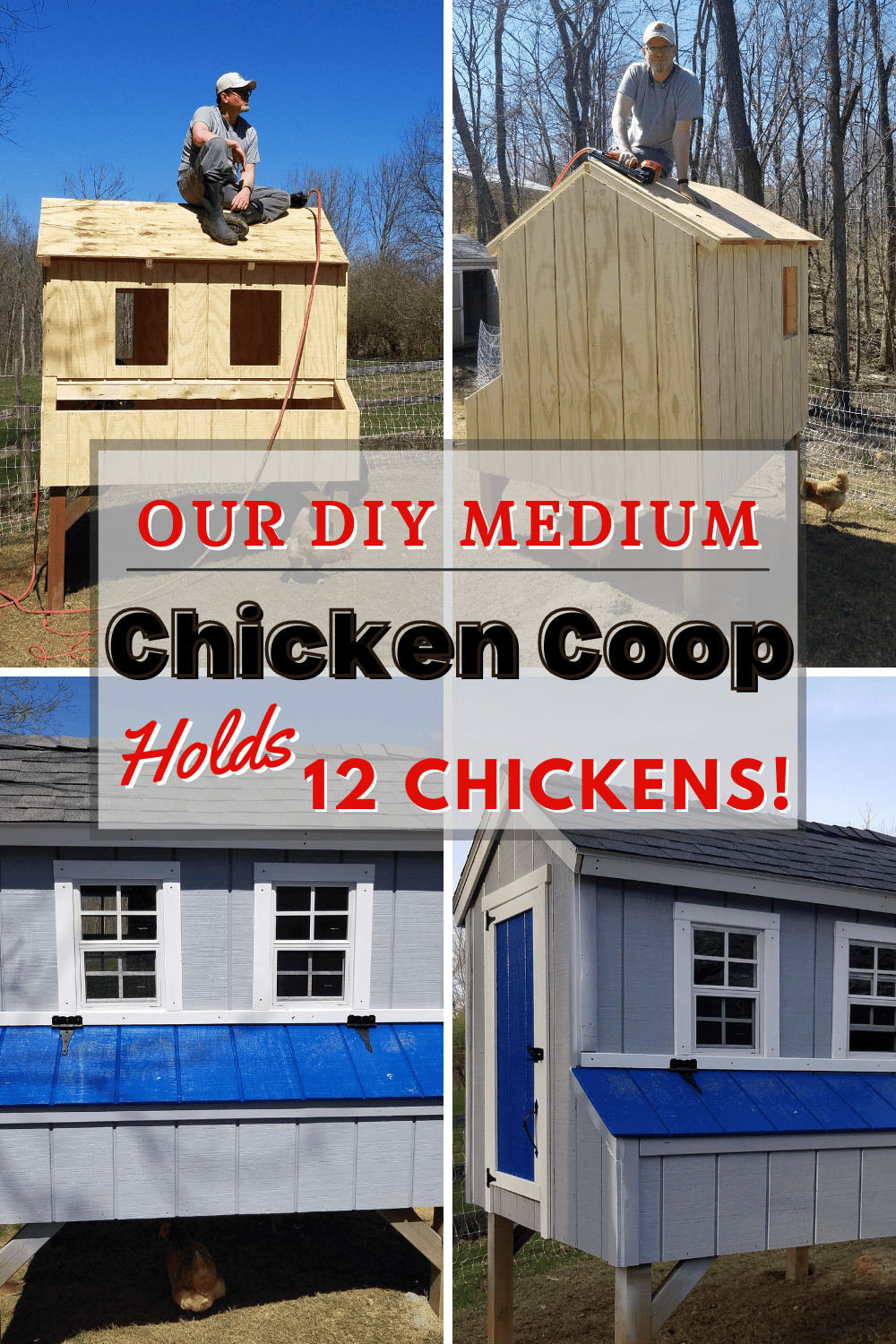 Our DIY Medium Chicken Coop that holds 12 chickens Pinterest Pin with 4 photos, 2 on top during build and 2 post build pics