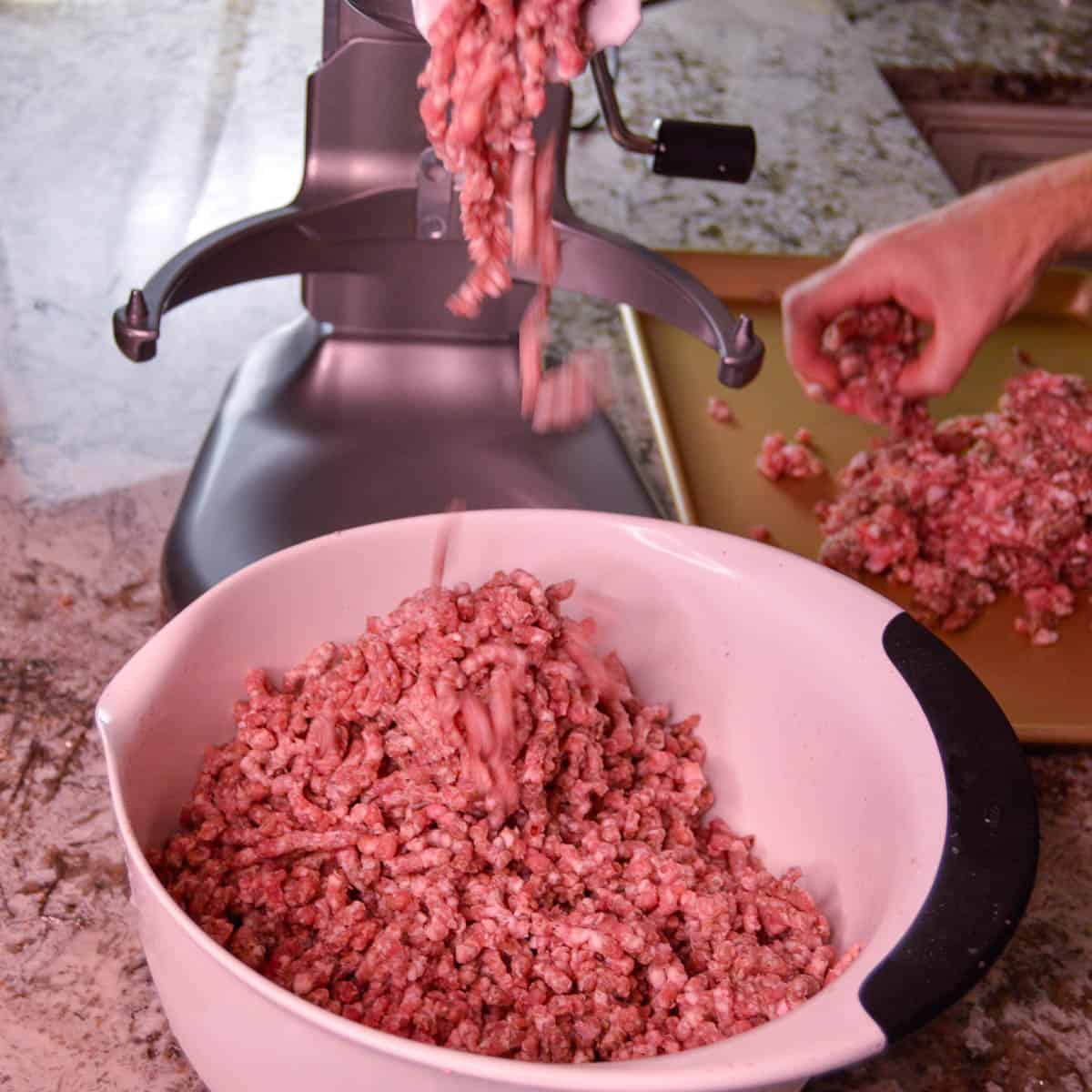 ground pork being put through grinder with seasoning in it to help blend in pork and give it a final finer grind