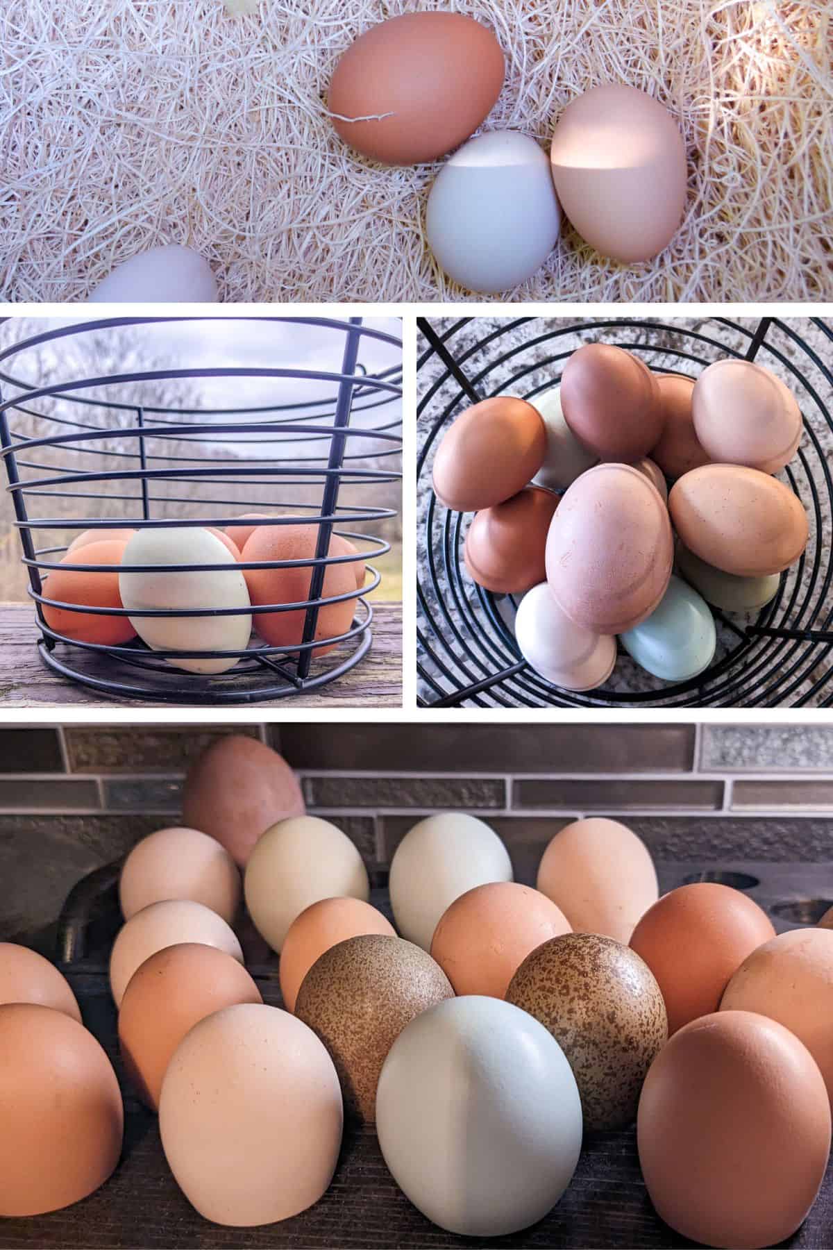 4 image collage showing backyard chicken eggs in nesting box, basket from the side, top view filled basket and stored on our kitchen counter
