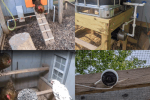 4 image collage showing chicken coop upgrades, upper left-coop door, upper right-outdoor water tank, lower left-coop cam image showing inside coop, lower right-run cam.