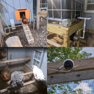 4 image collage showing chicken coop upgrades, upper left-coop door, upper right-outdoor water tank, lower left-coop cam image showing inside coop, lower right-run cam.